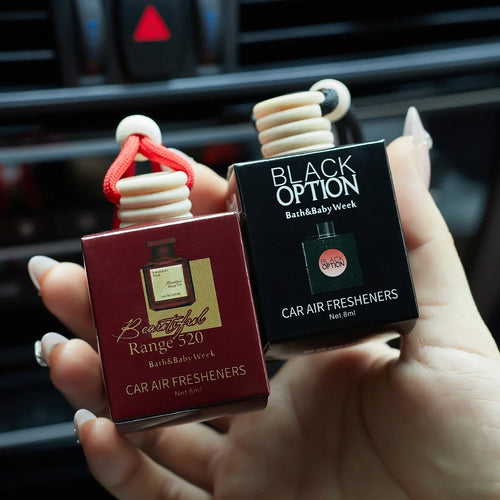 Charming Car Scent Booster